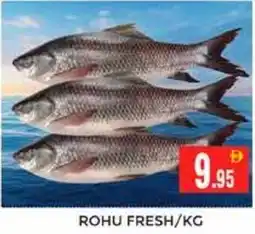 Pasons Rohu fresh offer