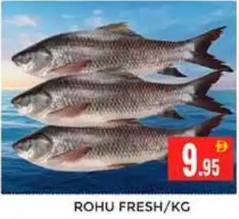 Pasons Rohu fresh offer