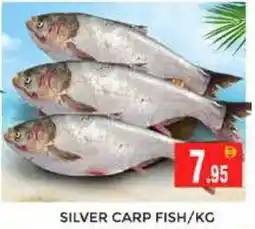 Pasons Silver carp fish offer