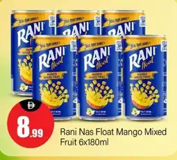 Bigmart Rani Nas Float Mango Mixed Fruit offer