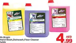 Day To Day Mr.Bright Hand Wash, Dishwash, Floor Cleaner offer