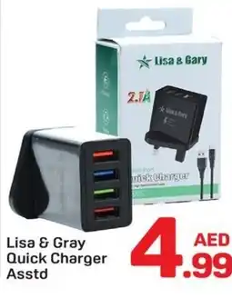 Day To Day Lisa & Gray Quick Charger Asstd offer