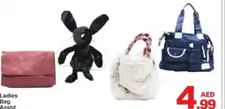 Day To Day Ladies Bag Asstd offer