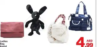 Day To Day Ladies Bag Asstd offer