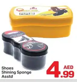 Day To Day Shoes Shining Sponge Asstd offer