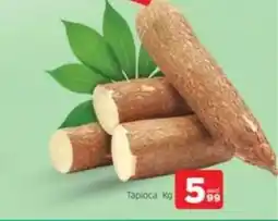 Al Madina Tapioca offer