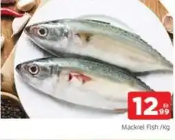 Al Madina Mackrel Fish offer
