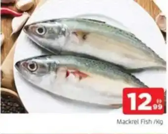 Al Madina Mackrel Fish offer
