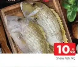 Al Madina Shery Fish offer