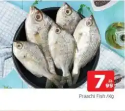 Al Madina Praachi Fish offer