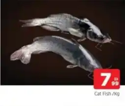 Al Madina Cat Fish offer