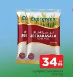 Al Madina Evergreen jeerakasala Rice offer