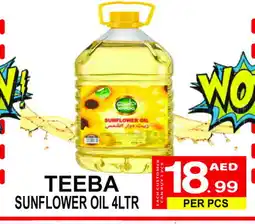 Gift Point TEEBA Sunflower Oil offer