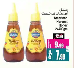 Ansar Gallery AMERICAN HARVEST Honey offer