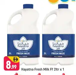 Shaklan HAYATNA Fresh Milk offer