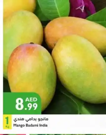 Istanbul Supermarket Mango Mango offer