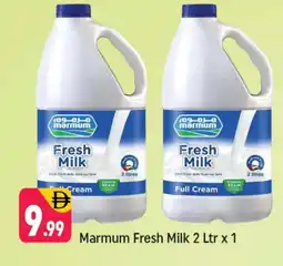 Shaklan MARMUM Fresh Milk offer