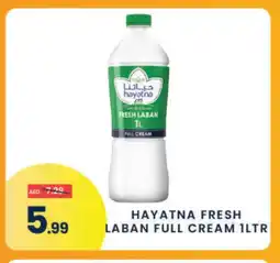 Madhoor Supermarket HAYATNA Laban offer