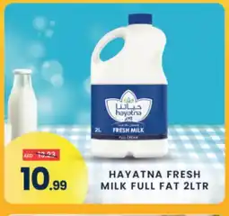 Madhoor Supermarket HAYATNA Full Cream Milk offer
