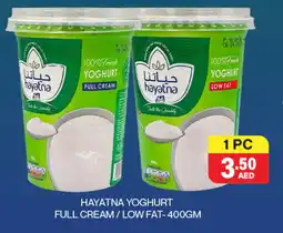 Adil Supermarket HAYATNA Yoghurt offer