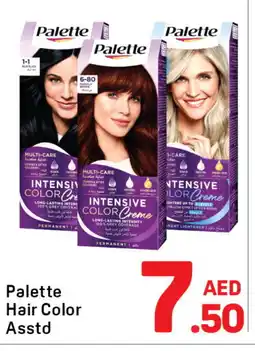 Day To Day PALETTE Hair Colour offer