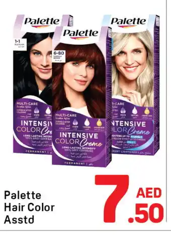 Day To Day PALETTE Hair Colour offer