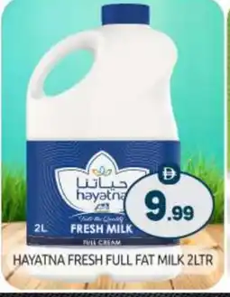 Bigmart HAYATNA Full Cream Milk offer