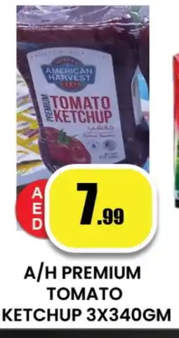 Zain Hypermarket AMERICAN HARVEST Tomato Ketchup offer