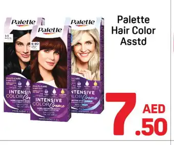 Day To Day PALETTE Hair Colour offer