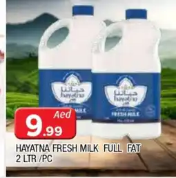 Al Madina HAYATNA Fresh Milk offer