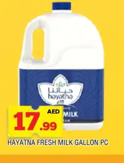 Al Madina HAYATNA Fresh Milk offer