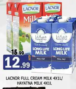 Al Madina HAYATNA Full Cream Milk offer