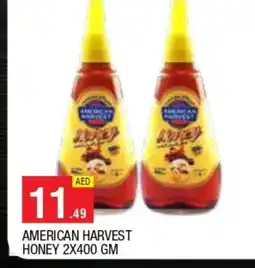 Al Madina AMERICAN HARVEST Honey offer