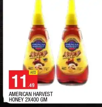Al Madina AMERICAN HARVEST Honey offer