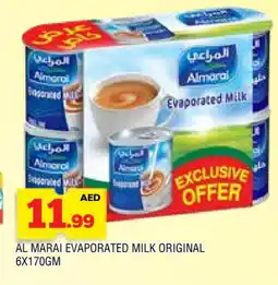 Al Madina ALMARAI Evaporated Milk offer