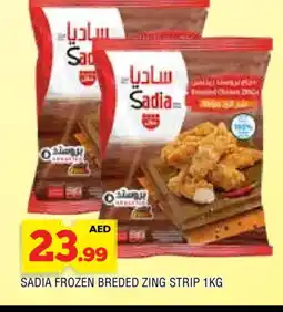 Al Madina SADIA Chicken Strips offer