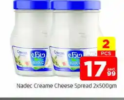 Al Madina NADEC Cream Cheese offer