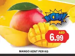 Gulf Hypermarket Mango Mango offer