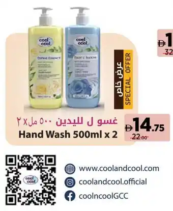Géant Hand Wash offer