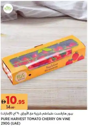 Géant Pure harvest tomato cherry on vine offer