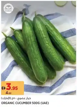 Géant Organic cucumber offer