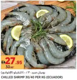 Géant Chilled shrimp 30/40 offer
