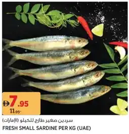 Géant Fresh small sardine offer