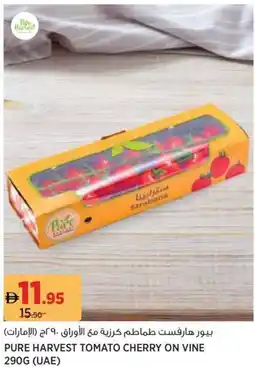 Aswaaq Pure harvest tomato cherry on vine offer