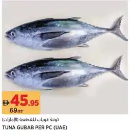 Aswaaq Tuna gubab offer