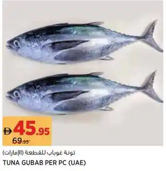 Aswaaq Tuna gubab offer
