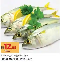 Aswaaq Local mackrel offer