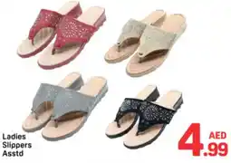 Day To Day Ladies Slippers Asstd offer