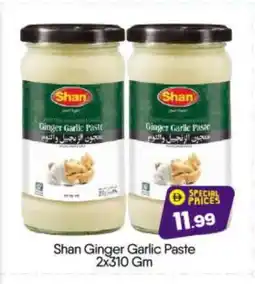 Bigmart SHAN Garlic Paste offer