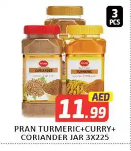 Mango Hypermarket LLC PRAN Spices / Masala offer